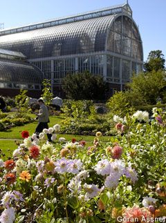 Horticultural Society Gardens