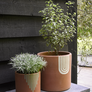 outdoor brown plant pots