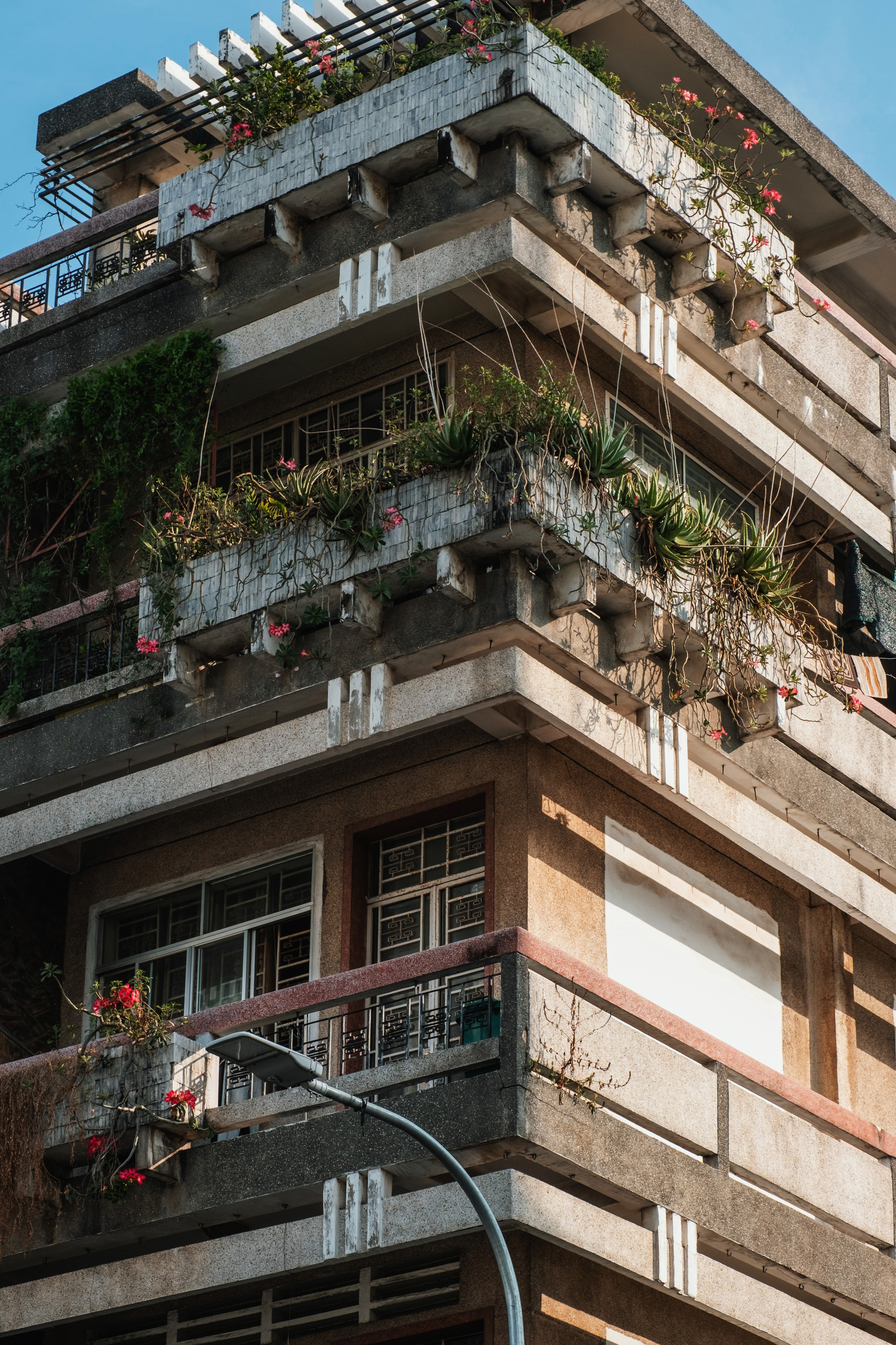 Vietnamese modernist architecture buildings with planters