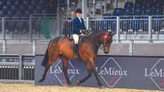 2024 Royal Windsor judges