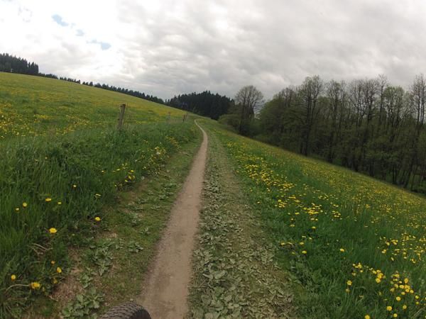 Spring singletrack in the Czech Republic