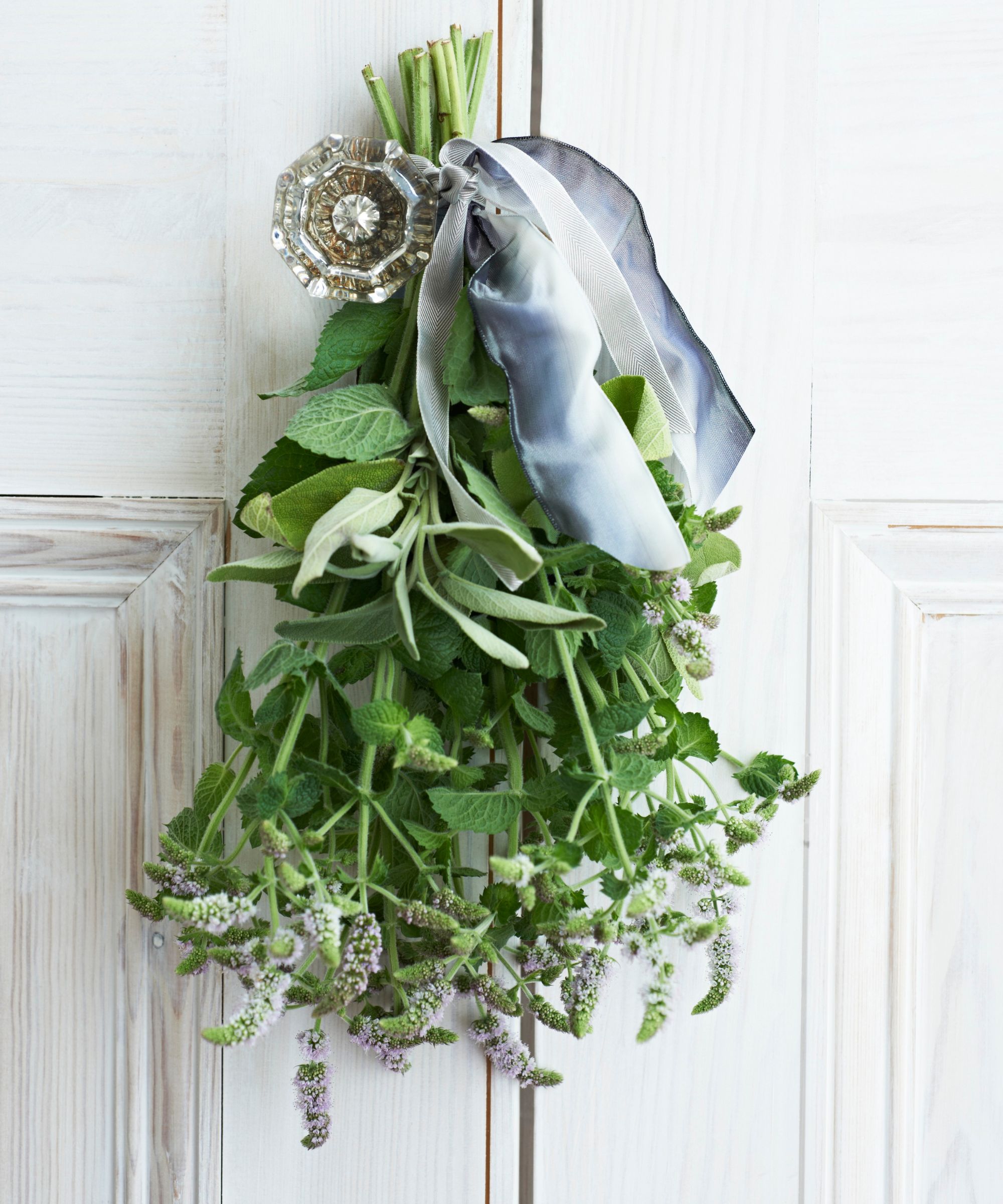 A bunch of sage and mint tied with a grey ribbon hanging upside down from a glass doorknob against a white painted, panelled door