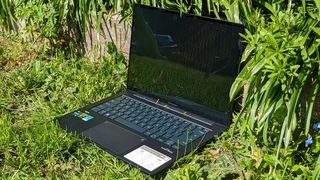 An ASUS Zenbook 14X OLED laptop, one of the best laptops for graphic design, sitting in a nature scene
