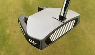 TaylorMade Spider GT Putter Face