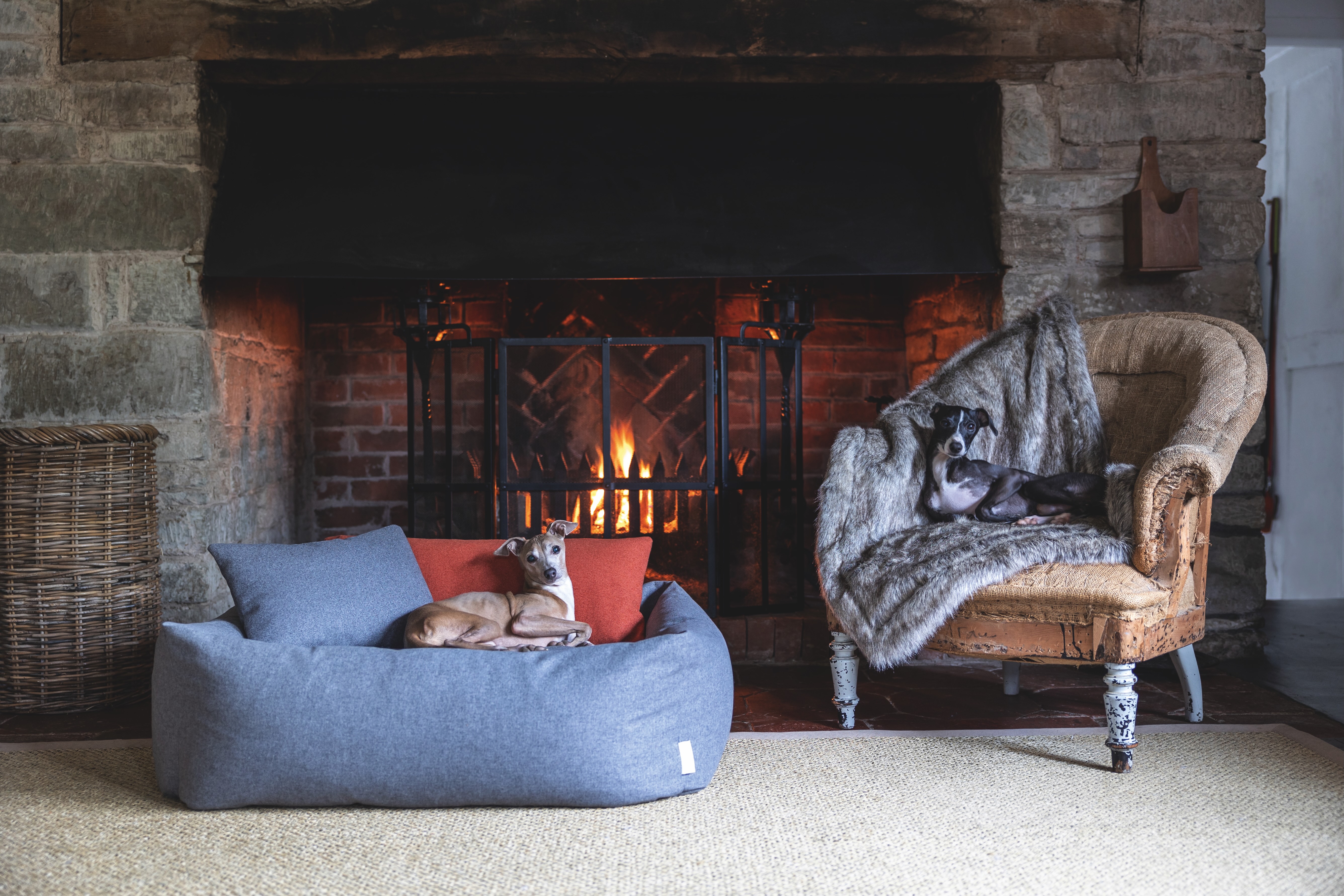 Two greyhounds, one on a chair, the other on a dog bed, sit in front of a fireplace