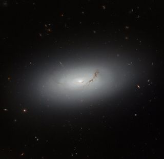 a glowing with galaxy hangs center amongst small, distant dots, which are also galaxies.