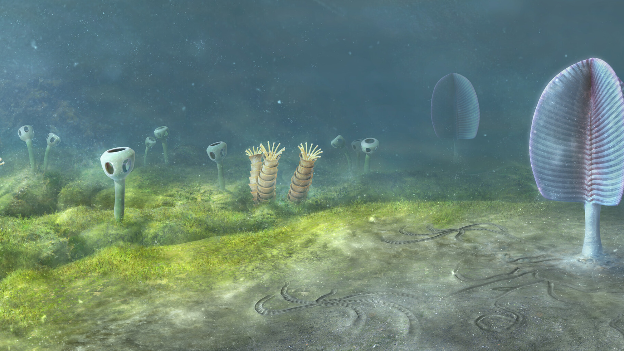 An illustration of an ancient seafloor