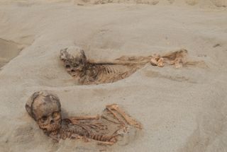 The remains of two children who were sacrificed in A.D. 1450 in what is now Peru.
