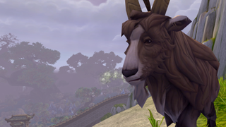 A goat from WoW's MoP: Remix stares mournfully out over a gorgeous vista.
