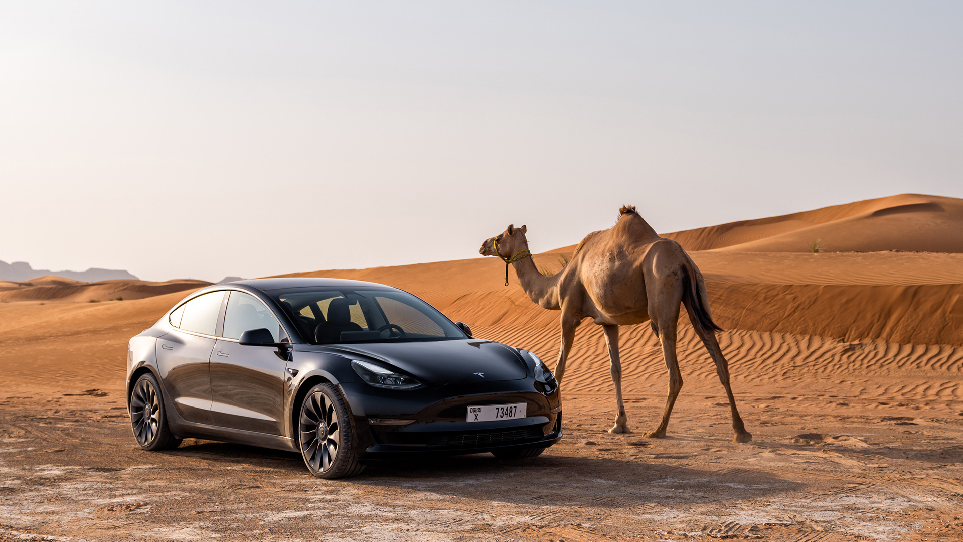 First Tesla Model 3 'Highland' Owners Say It's Comfy, But Tesla Vision Is  'Rubbish