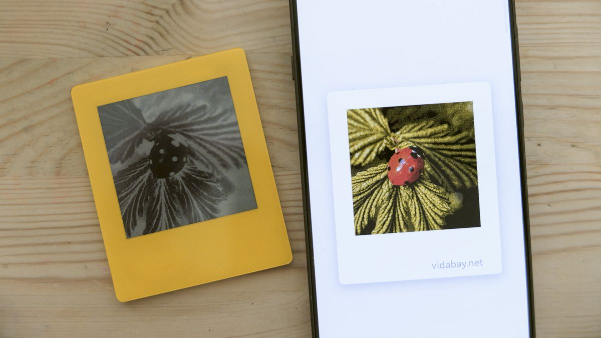 Vidabay Snap E Ink Polaroid-like frame laid on a table alongside a smartphone with the Vidabay app on display