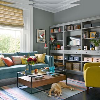 grey living room with grey wall-mounted shelves filled with books, accessories and a tv , with blue and yellow furniture and a glass top wooden base with black steel legscoffee table