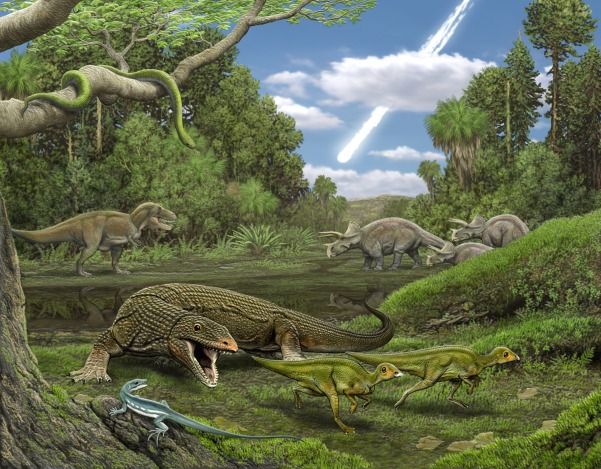 Dino Killing Meteorite Wiped Out Lizards Too Live Science