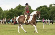 Millpond Look So Cheeky and Glen Allen