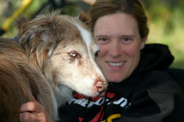 Compton flies home frequently to take care of her dogs