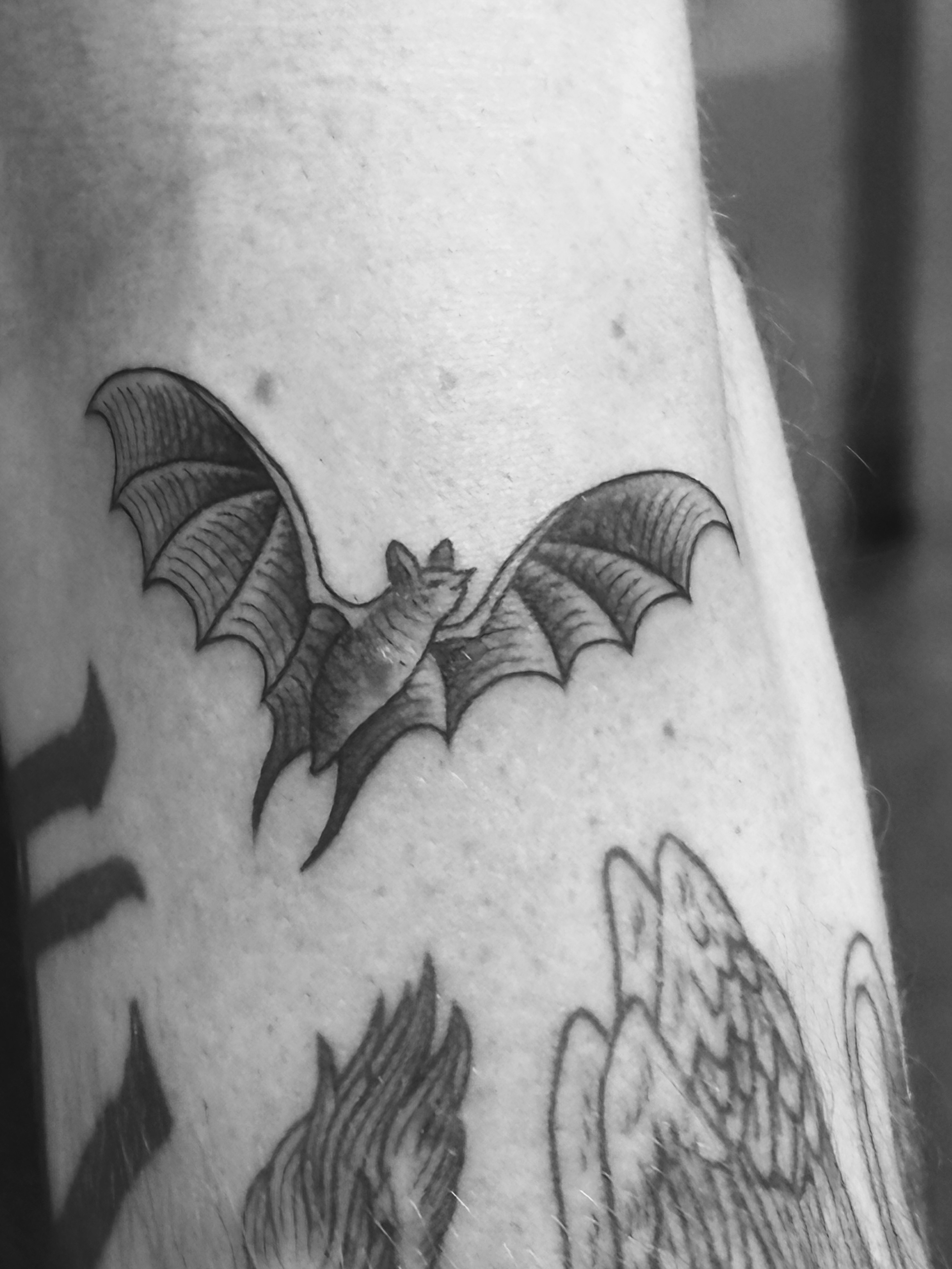 A tattoo of a bat with its wings spread open