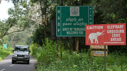 Sign warning about elephants crossing