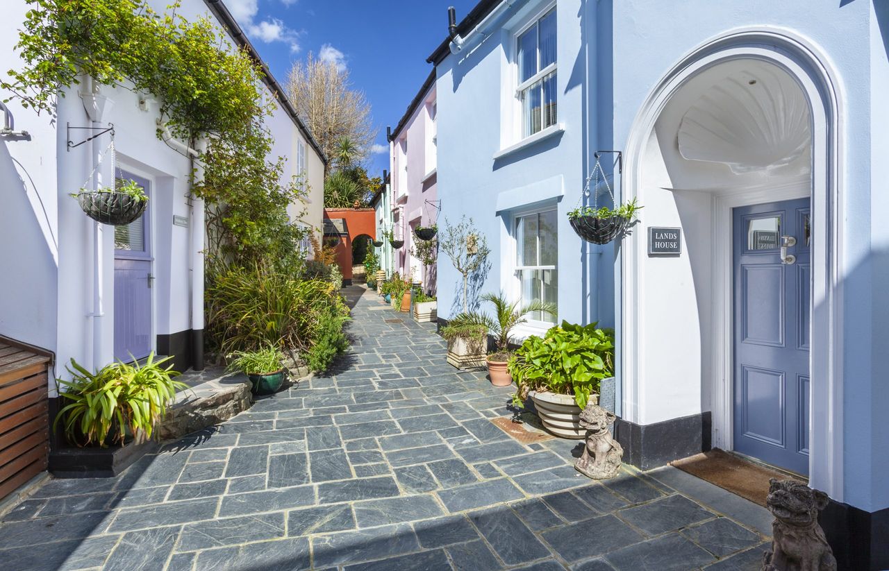 Village within a village, Appledore