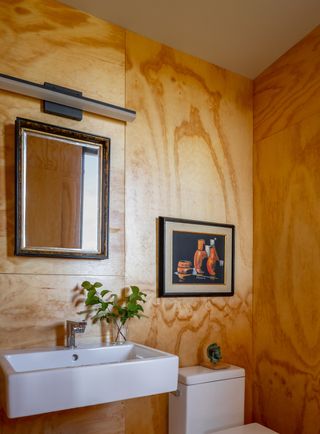 plywood bathroom walls