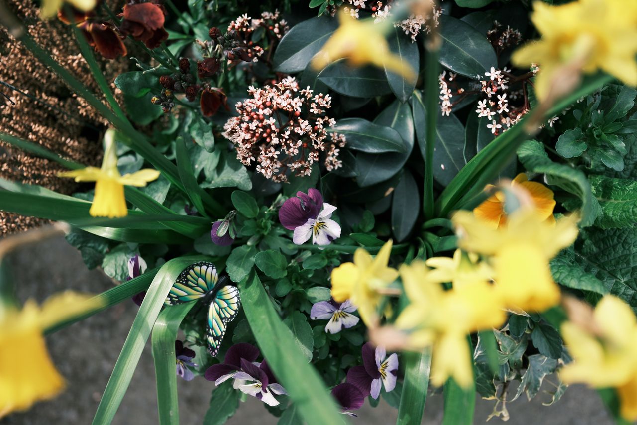 A photo taken on a Fujifilm GFX100RF medium format camera