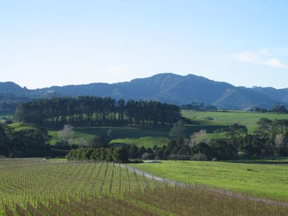Matakana