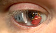eyeborg project