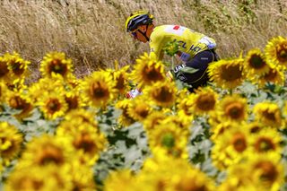 Tour de France leader Tadej Pogacar rides through the sunflowers on stage 13