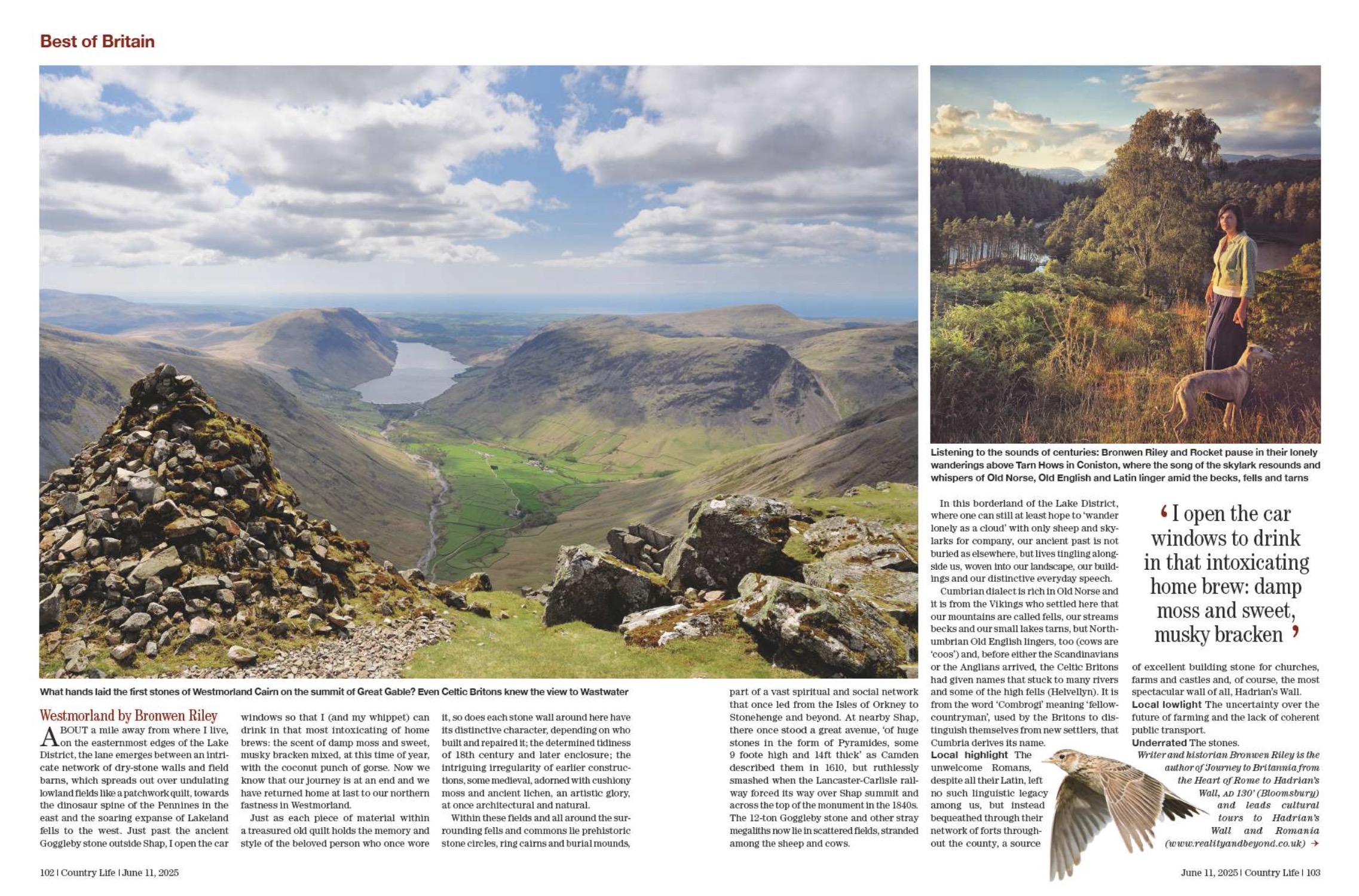 Spreads from Country Life 11 June 2025