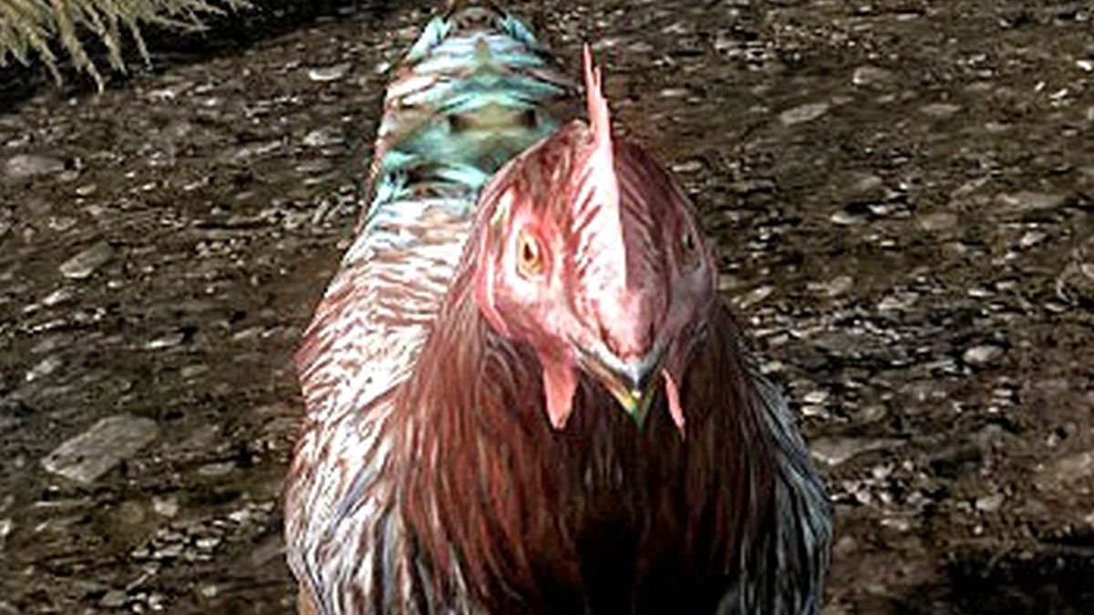 Skyrim player becomes serial chicken-murderer after attempting infinite illusion cheese