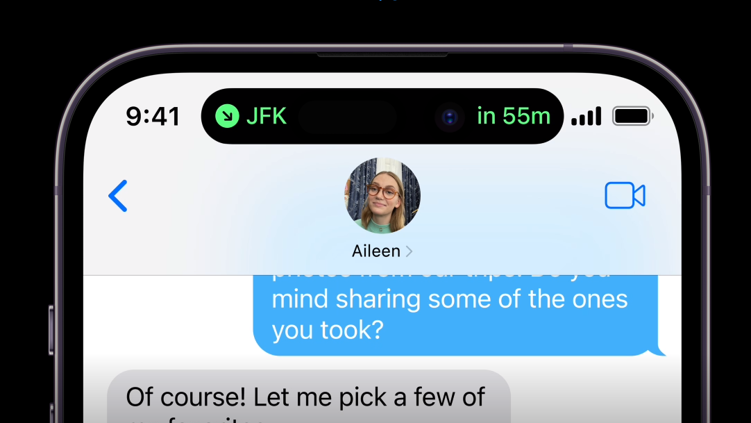 Apple Dynamic Island flight information screenshot