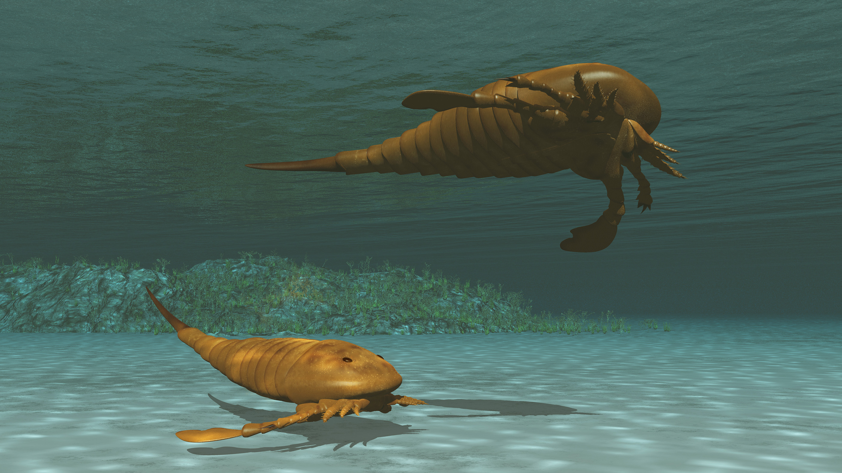 Eurypterids, shown here in this illustration, were the largest species of arachnid to ever live, rivaling humans in size.