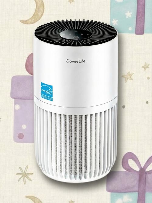 Smart Air Purifier Lite