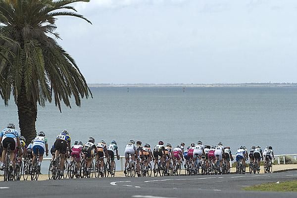 The peloton stretch out beside the bay during race two of the series in Geelong.