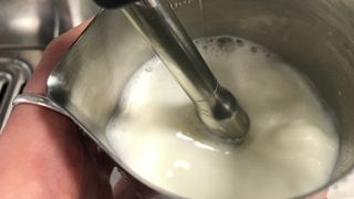casabrews 5700 pro frothing milk
