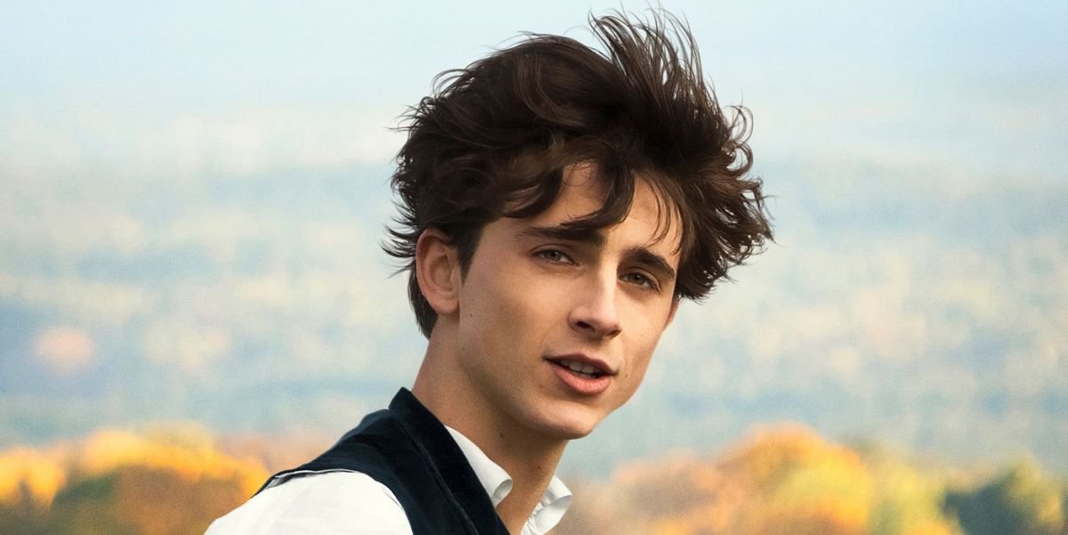 Timothée Chalamet Debuted a Brand-New Mustache at the National