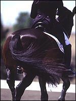B8E1F0EA-DC9D-496F-B30B-779250893DB4.jpg