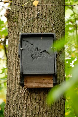 Black bat box hanging at a tree in the green forest