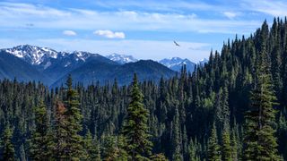 Vast mountainous landscape in Washington