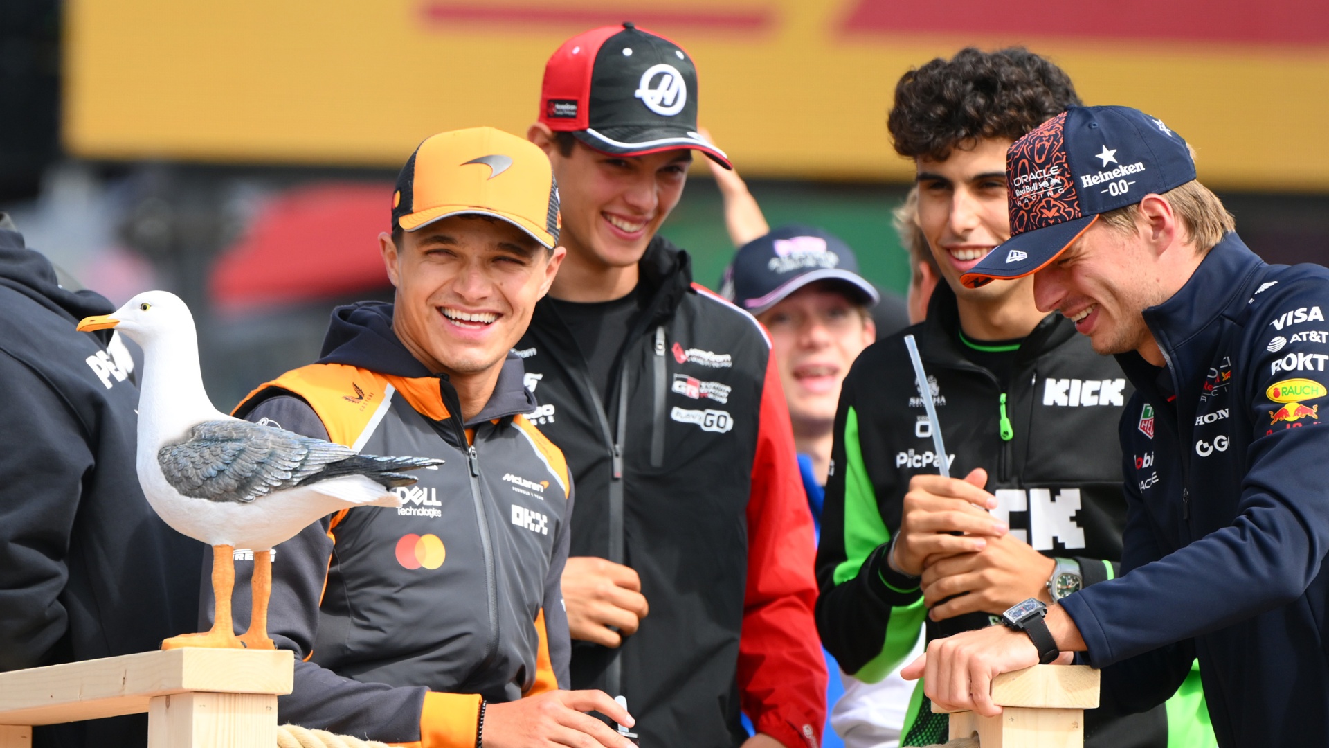 F1 drivers Lando Norris, Oliver Bearman, Gabriel Bortoleto and Max Verstappen laughing at a seagull at Circuit Zandvoort