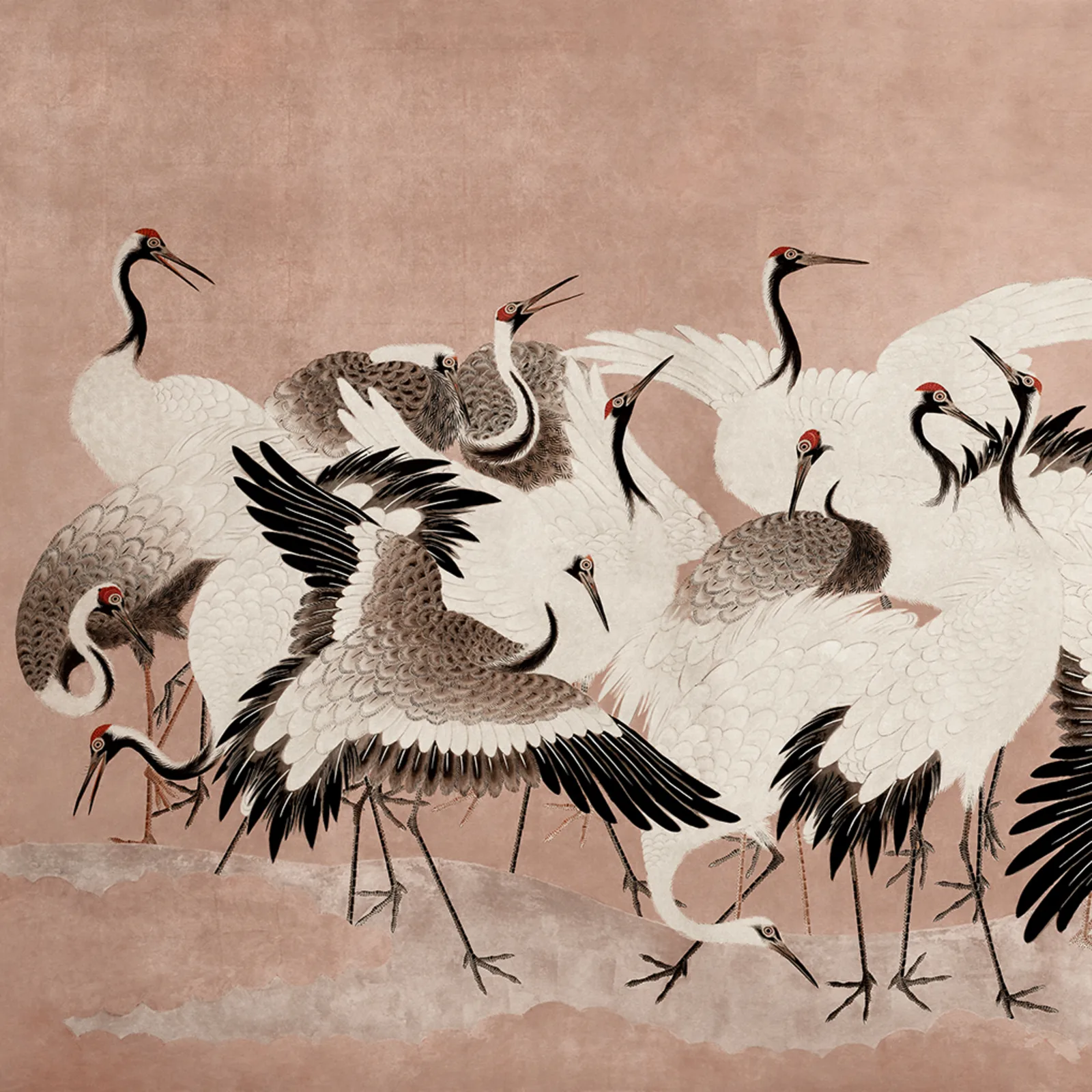 Dancing Cranes, Dusty Pink