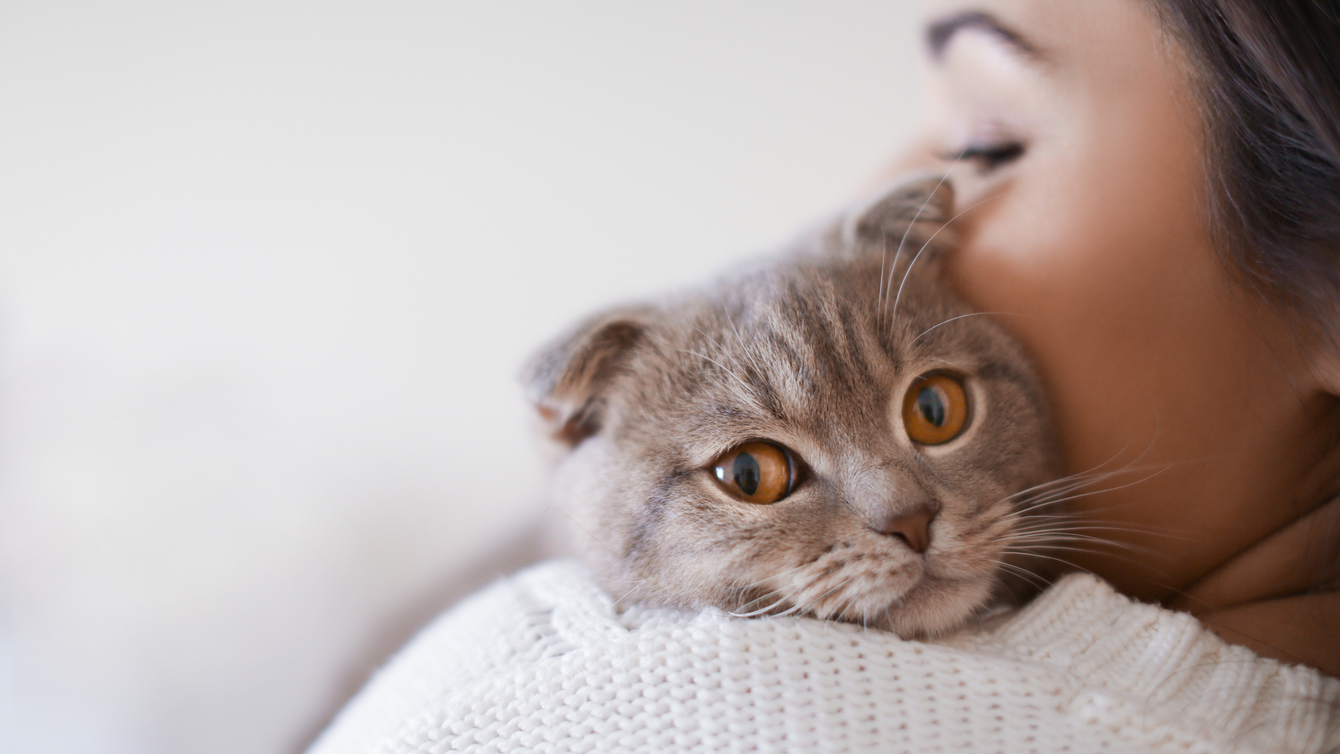  Cats love to meow at humans. Now we know why. 