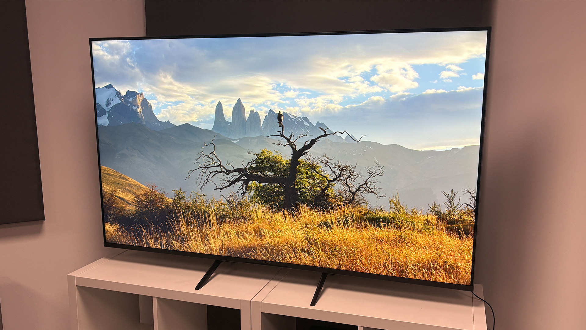 Sony Bravia 3 65-inch 4K TV with tree, grasslands and mountain on screen