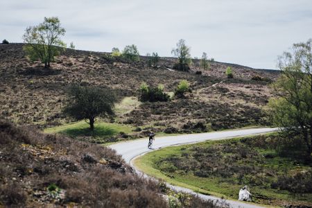 cycling new forest