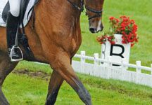 burghley-dressage.jpg