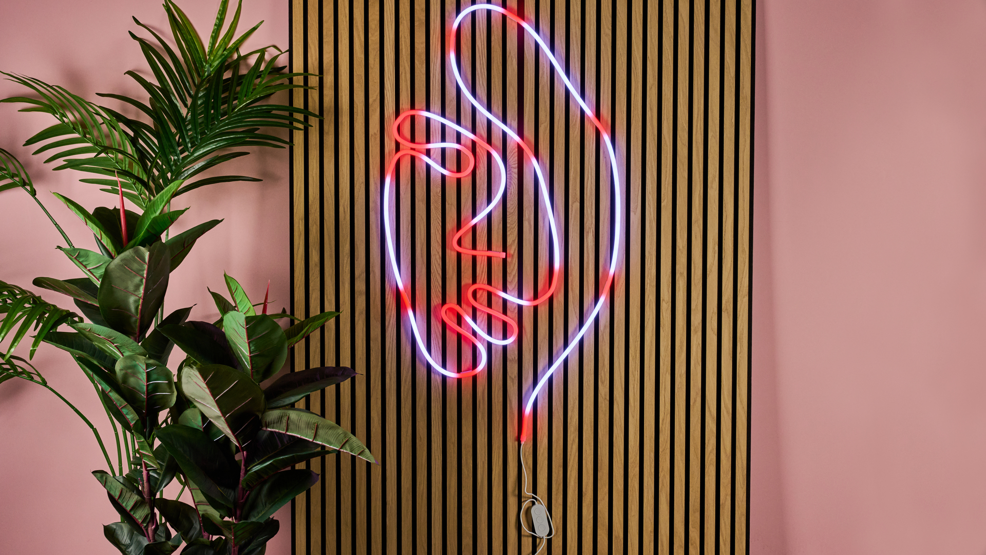 The rope light is lit up white and red to show where to apply the fixing clips.