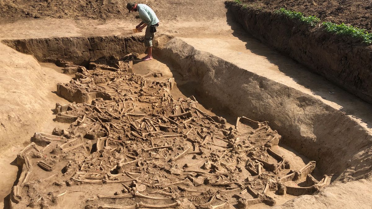 7,000-year-old mass grave in Slovakia may hold human sacrifice victims