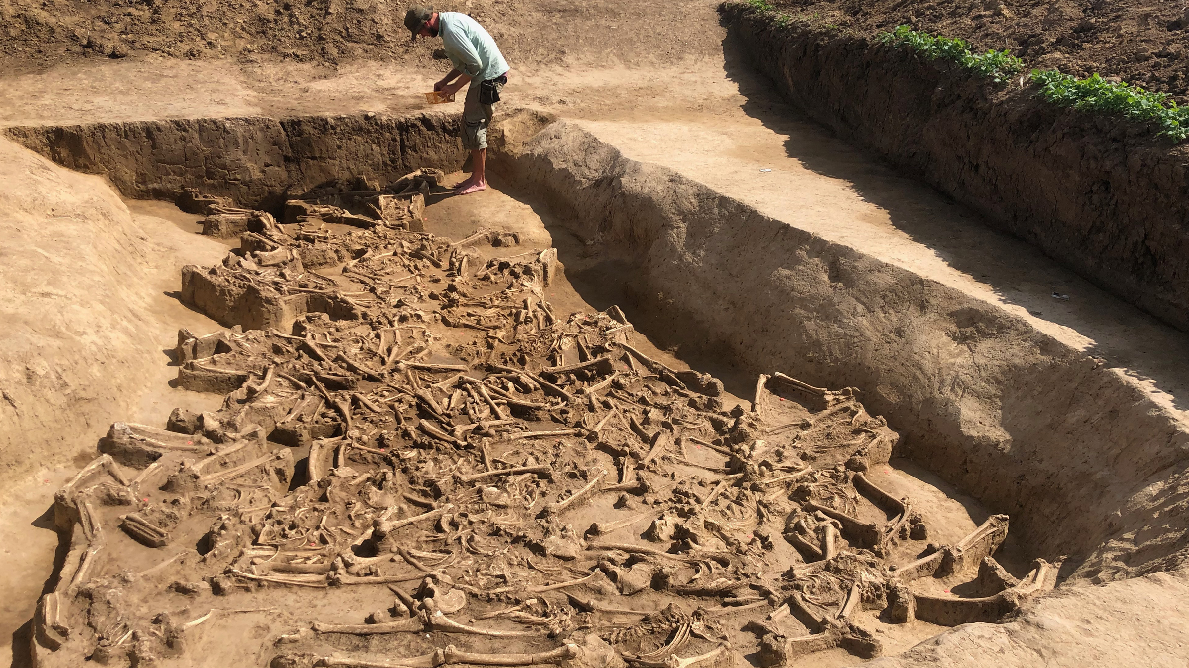 Evidence of child sacrifice found in ancient Turkish cemetery