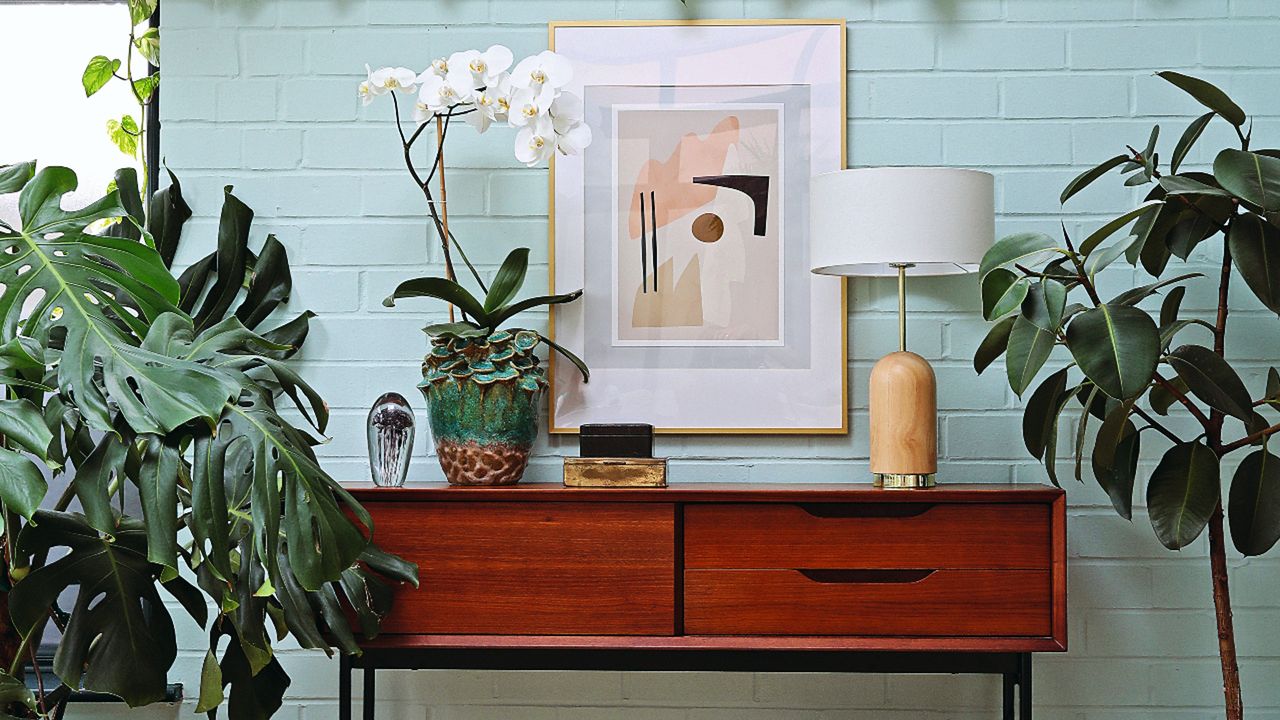 Various potted plants displayed on windowsill and wooden table