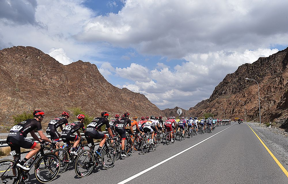 The peloton in action during stage 2 in Oman.