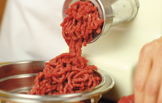 horsemeat scandal